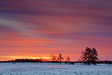 Snowscape Sunrise_14375-6